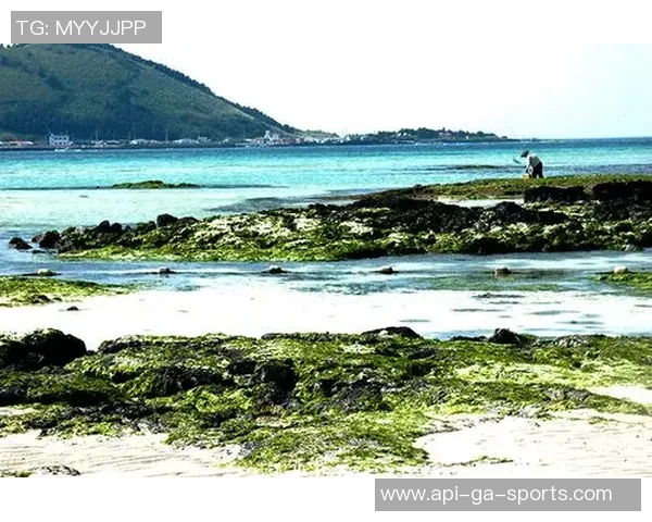 济州岛足球场全景探秘体验畅享激情与美景的完美结合